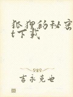 狐狸的秘密txt下载