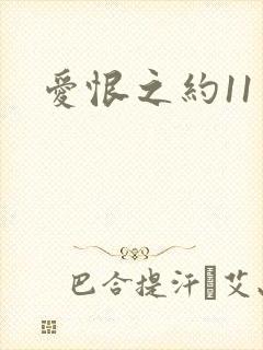 爱恨之约11