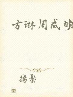 方琳周成明小说