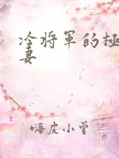 冷将军的极品娇妻