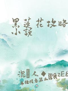 黑莲花攻略手册小说