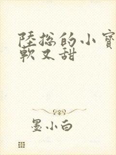 陆总的小宝贝又软又甜