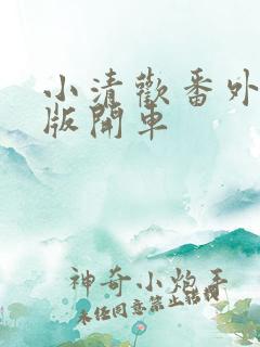 小清欢番外完整版开车