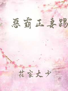 恶霸正妻踢娇妾