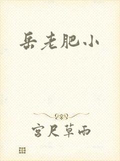 岳老肥小