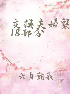 交换夫妇系列第18部分