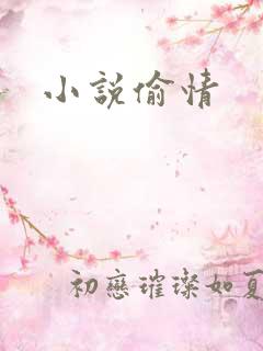 小说偷情
