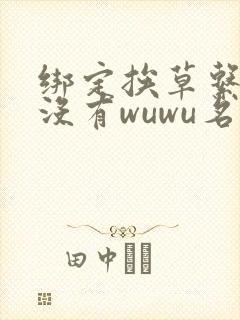绑定挨草系统后没有wuwu名字