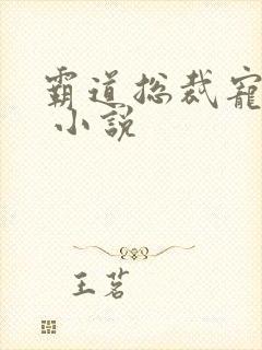 霸道总裁宠上天 小说