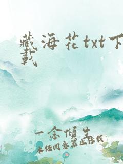 藏海花txt下载