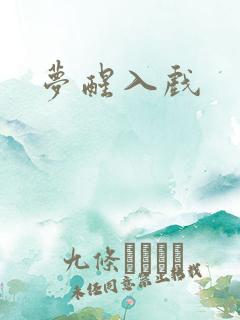 梦醒入戏