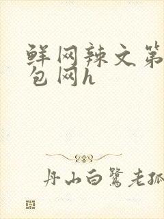 鲜网辣文第二书包网h