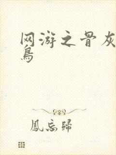 网游之骨灰级菜鸟