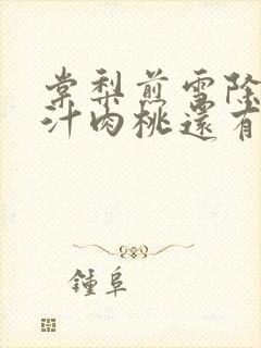 棠梨煎雪除了蜜汁肉桃还有什么肉