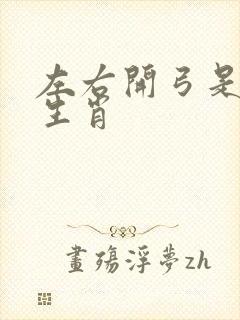 左右开弓是什么生肖