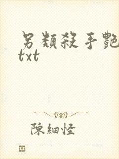 另类杀手艳福星txt