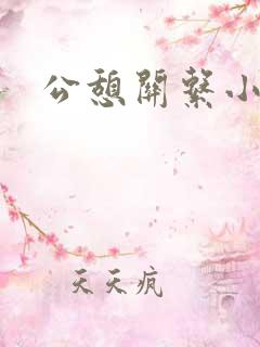 公憩关系小说
