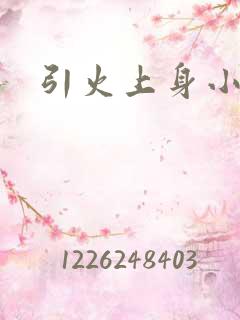 引火上身小说