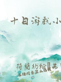 十日游戏小说