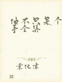 他不只是个狙击手全集