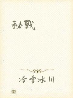秘战