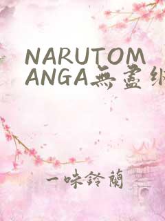 NARUTOMANGA无尽纲手