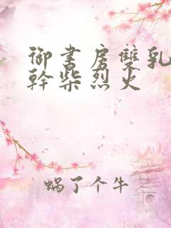 御书房双乳晃动干柴烈火