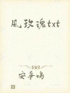 风玫瑰txt