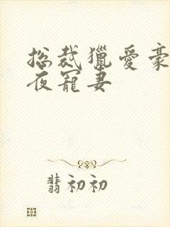 总裁猎爱豪门一夜宠妻