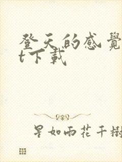 登天的感觉txt下载
