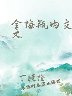 金梅瓶肉交白话文