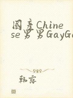 国产Chinese男男GayGayAPP