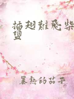 插翅难飞柴米油盐