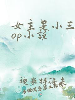 女主是小三的pop小说
