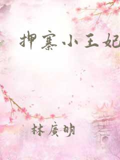 押寨小王妃