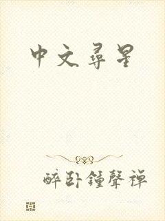 中文寻星
