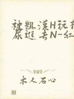 被粗汉H玩松了尿进去N-红-Q