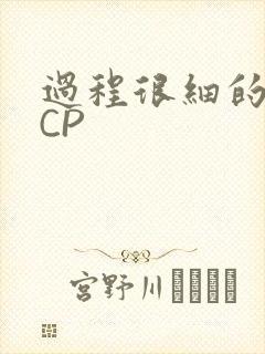 过程很细的开车CP