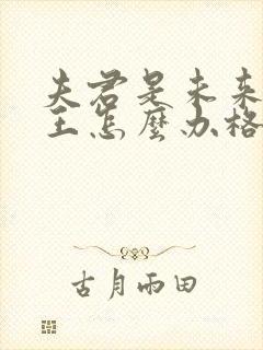 夫君是未来大魔王怎么办格格党