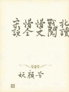 宋惜惜战北望小说全文阅读