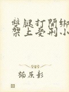 双腿打开绑在刑架上受刑小说