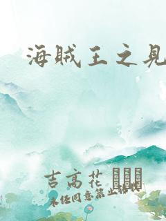 海贼王之见证者