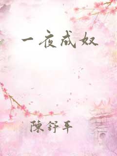 一夜成奴