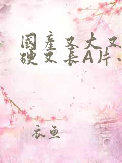 国产又大又粗又硬又长A片小说