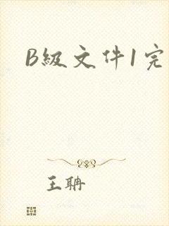 B级文件1完整