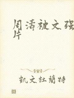 周涛被文强睡图片