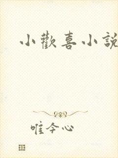 小欢喜小说