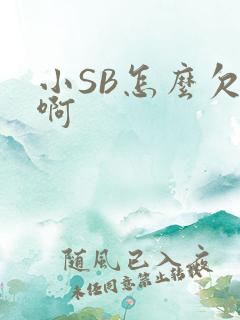 小SB怎么欠C啊