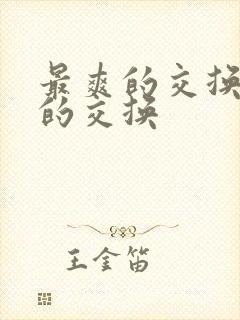 最爽的交换疯狂的交换