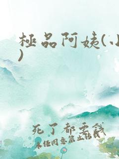 极品阿姨(小说)